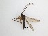  ( - LW-QMT488)  @11 [ ] CreativeCommons  Attribution
Non-Commercial Share-Alike (2019) Unspecified Zhejiang A&F University