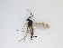  ( - LW-QMT489)  @11 [ ] CreativeCommons  Attribution
Non-Commercial Share-Alike (2019) Unspecified Zhejiang A&F University