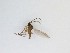  ( - LW-QMT491)  @11 [ ] CreativeCommons  Attribution
Non-Commercial Share-Alike (2019) Unspecified Zhejiang A&F University