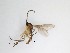  ( - LW-QMT494)  @11 [ ] CreativeCommons  Attribution
Non-Commercial Share-Alike (2019) Unspecified Zhejiang A&F University