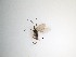 ( - LW-QMT577)  @11 [ ] CreativeCommons  Attribution
Non-Commercial Share-Alike (2019) Unspecified Zhejiang A&F University