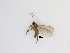  ( - LW-QMT588)  @11 [ ] CreativeCommons  Attribution
Non-Commercial Share-Alike (2019) Unspecified Zhejiang A&F University