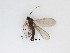  ( - LW-QMT88)  @11 [ ] CreativeCommons  Attribution
Non-Commercial Share-Alike (2019) Unspecified Zhejiang A&F University