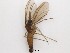  ( - LW-XG421)  @11 [ ] CreativeCommons  Attribution
Non-Commercial Share-Alike (2019) Unspecified Zhejiang A&F University