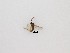  ( - LW-XG508)  @11 [ ] CreativeCommons  Attribution
Non-Commercial Share-Alike (2019) Unspecified Zhejiang A&F University