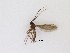  ( - LW-XG531)  @11 [ ] CreativeCommons  Attribution
Non-Commercial Share-Alike (2019) Unspecified Zhejiang A&F University