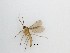  (Cratyna sp. 1_TM - LW-XG648)  @14 [ ] CreativeCommons  Attribution
Non-Commercial Share-Alike (2019) Unspecified Zhejiang A&F University