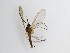  ( - LW-XG772)  @11 [ ] CreativeCommons  Attribution
Non-Commercial Share-Alike (2019) Unspecified Zhejiang A&F University