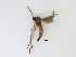  ( - LW-XG869)  @11 [ ] CreativeCommons  Attribution
Non-Commercial Share-Alike (2019) Unspecified Zhejiang A&F University