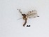  ( - LW-XG950)  @11 [ ] CreativeCommons  Attribution
Non-Commercial Share-Alike (2019) Unspecified Zhejiang A&F University