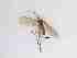  ( - TMM-1086-2)  @11 [ ] CreativeCommonsAttribution Non-Commercial (2018) Unspecified Zhejiang A&F University