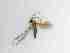  ( - TMM-129-2)  @11 [ ] CreativeCommonsAttribution Non-Commercial (2018) Unspecified Zhejiang A&F University