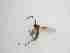  ( - TMM-134-2)  @11 [ ] CreativeCommonsAttribution Non-Commercial (2018) Unspecified Zhejiang A&F University