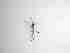  ( - TMM-260-2)  @11 [ ] CreativeCommonsAttribution Non-Commercial (2018) Unspecified Zhejiang A&F University