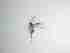  ( - TMM-261-2)  @11 [ ] CreativeCommonsAttribution Non-Commercial (2018) Unspecified Zhejiang A&F University