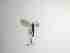  ( - TMM-292-2)  @11 [ ] CreativeCommonsAttribution Non-Commercial (2018) Unspecified Zhejiang A&F University