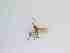  ( - TMM-305-2)  @11 [ ] CreativeCommonsAttribution Non-Commercial (2018) Unspecified Zhejiang A&F University