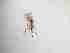  ( - TMM-429-2)  @11 [ ] CreativeCommonsAttribution Non-Commercial (2018) Unspecified Zhejiang A&F University
