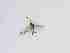  ( - TMM-454-2)  @11 [ ] CreativeCommonsAttribution Non-Commercial (2018) Unspecified Zhejiang A&F University