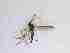  ( - TMM-702-2)  @11 [ ] CreativeCommonsAttribution Non-Commercial (2018) Unspecified Zhejiang A&F University