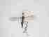  ( - TMM-765-2)  @11 [ ] CreativeCommonsAttribution Non-Commercial (2018) Unspecified Zhejiang A&F University