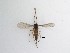  ( - TMM-100)  @11 [ ] CreativeCommons  Attribution
Non-Commercial Share-Alike (2019) Unspecified Zhejiang A&F University