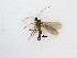  ( - TMM-1035)  @11 [ ] CreativeCommons  Attribution
Non-Commercial Share-Alike (2019) Unspecified Zhejiang A&F University