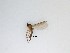  ( - TMM-1176)  @11 [ ] CreativeCommons  Attribution
Non-Commercial Share-Alike (2019) Unspecified Zhejiang A&F University