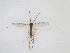  ( - TMM-1188)  @11 [ ] CreativeCommons  Attribution
Non-Commercial Share-Alike (2019) Unspecified Zhejiang A&F University