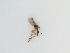  ( - TMM-127)  @11 [ ] CreativeCommons  Attribution
Non-Commercial Share-Alike (2019) Unspecified Zhejiang A&F University