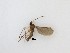  ( - TMM-182)  @11 [ ] CreativeCommons  Attribution
Non-Commercial Share-Alike (2019) Unspecified Zhejiang A&F University
