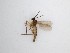  ( - TMM-220)  @11 [ ] CreativeCommons  Attribution
Non-Commercial Share-Alike (2019) Unspecified Zhejiang A&F University