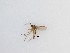  ( - TMM-228)  @11 [ ] CreativeCommons  Attribution
Non-Commercial Share-Alike (2019) Unspecified Zhejiang A&F University