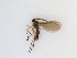  ( - TMM-29)  @11 [ ] CreativeCommons  Attribution
Non-Commercial Share-Alike (2019) Unspecified Zhejiang A&F University