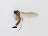  ( - TMM-375)  @11 [ ] CreativeCommons  Attribution
Non-Commercial Share-Alike (2019) Unspecified Zhejiang A&F University