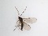  ( - TMM-682)  @11 [ ] CreativeCommons  Attribution
Non-Commercial Share-Alike (2019) Unspecified Zhejiang A&F University