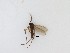  ( - TMM-849)  @11 [ ] CreativeCommons  Attribution
Non-Commercial Share-Alike (2019) Unspecified Zhejiang A&F University