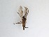  ( - TMM-869)  @11 [ ] CreativeCommons  Attribution
Non-Commercial Share-Alike (2019) Unspecified Zhejiang A&F University