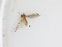  ( - TMM-F75)  @11 [ ] CreativeCommons  Attribution
Non-Commercial Share-Alike (2019) Unspecified Zhejiang A&F University