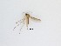  ( - TMM-F92)  @11 [ ] CreativeCommons  Attribution
Non-Commercial Share-Alike (2019) Unspecified Zhejiang A&F University