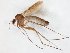  ( - TSZD-JKJ-107196)  @11 [ ] CreativeCommons - Attribution Non-Commercial Share-Alike (2019) Unspecified Tromsø University Museum