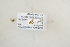  (Exechia JKJ-Afr-spD - TSZD-JKJ-107227)  @11 [ ] CreativeCommons - Attribution Non-Commercial Share-Alike (2019) Unspecified Tromsø University Museum