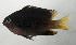  ( - SCIL-213)  @11 [ ] CreativeCommons  Attribution Non-Commercial (by-nc) (2014) Unspecified Smithsonian Institution National Museum of Natural History