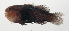  ( - SCIL-233)  @11 [ ] CreativeCommons  Attribution Non-Commercial (by-nc) (2014) Unspecified Smithsonian Institution National Museum of Natural History