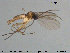  ( - TRD-Sci018)  @12 [ ] CreativeCommons - Attribution Non-Commercial Share-Alike (2015) NTNU University Museum, Department of Natural History NTNU University Museum, Department of Natural History