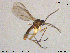  ( - TRD-Sci027)  @12 [ ] CreativeCommons - Attribution Non-Commercial Share-Alike (2015) NTNU University Museum, Department of Natural History NTNU University Museum, Department of Natural History