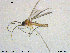  ( - TRD-Sci031)  @11 [ ] CreativeCommons - Attribution Non-Commercial Share-Alike (2015) NTNU University Museum, Department of Natural History NTNU University Museum, Department of Natural History