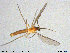  ( - TRD-Sci036)  @11 [ ] CreativeCommons - Attribution Non-Commercial Share-Alike (2015) NTNU University Museum, Department of Natural History NTNU University Museum, Department of Natural History