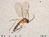  ( - TRD-Sci037)  @11 [ ] CreativeCommons - Attribution Non-Commercial Share-Alike (2015) NTNU University Museum, Department of Natural History NTNU University Museum, Department of Natural History