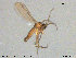  ( - TRD-Sci043)  @12 [ ] CreativeCommons - Attribution Non-Commercial Share-Alike (2015) NTNU University Museum, Department of Natural History NTNU University Museum, Department of Natural History